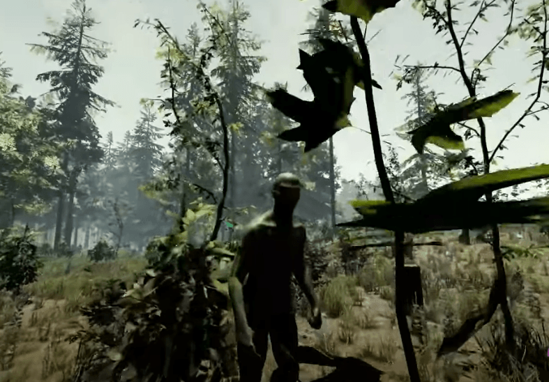 The Forest Steam Gameplay
